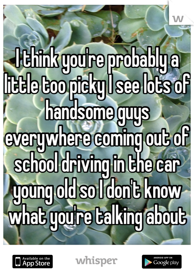 I think you're probably a little too picky I see lots of handsome guys everywhere coming out of school driving in the car young old so I don't know what you're talking about