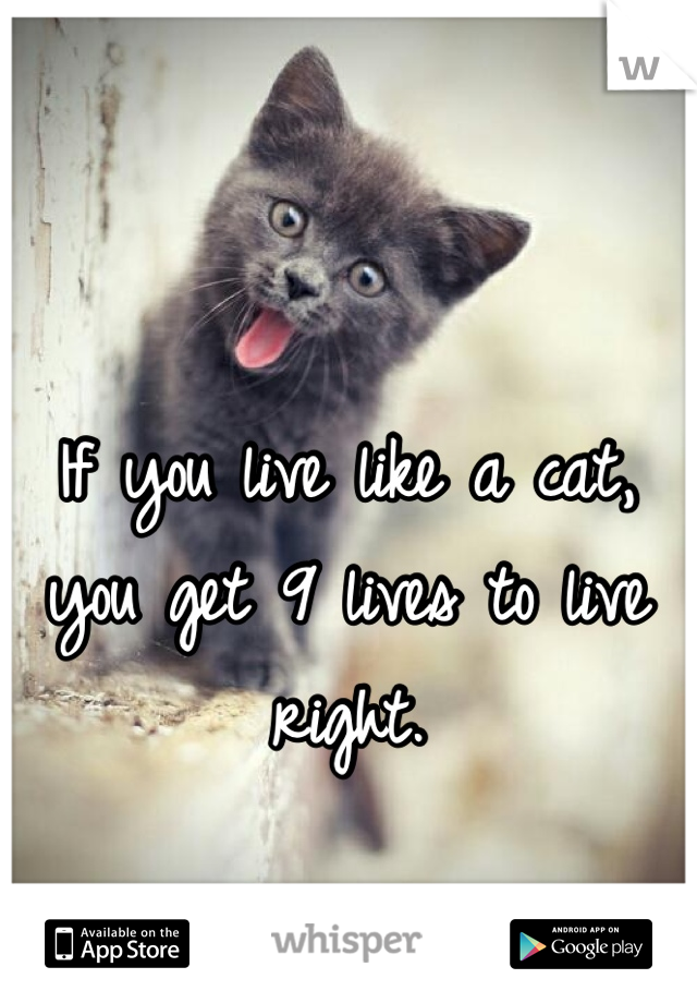 If you live like a cat, you get 9 lives to live right.