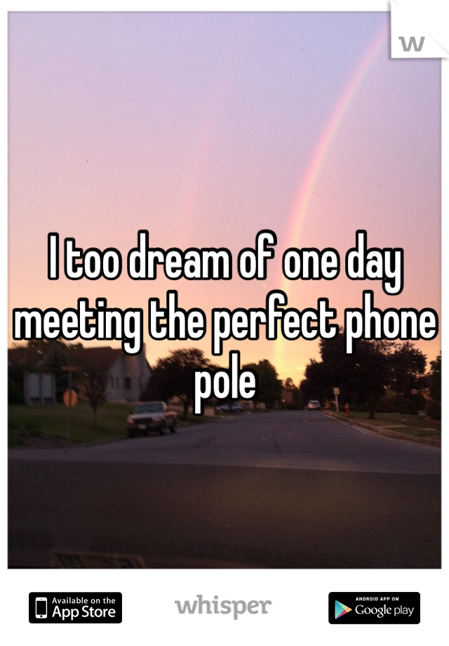 I too dream of one day meeting the perfect phone pole 