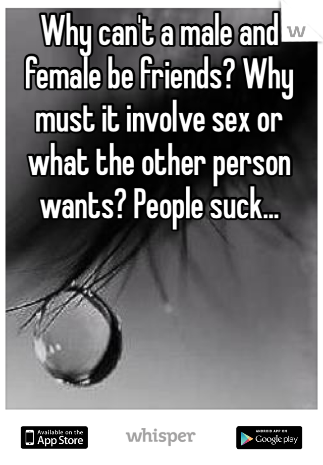 Why can't a male and female be friends? Why must it involve sex or what the other person wants? People suck...