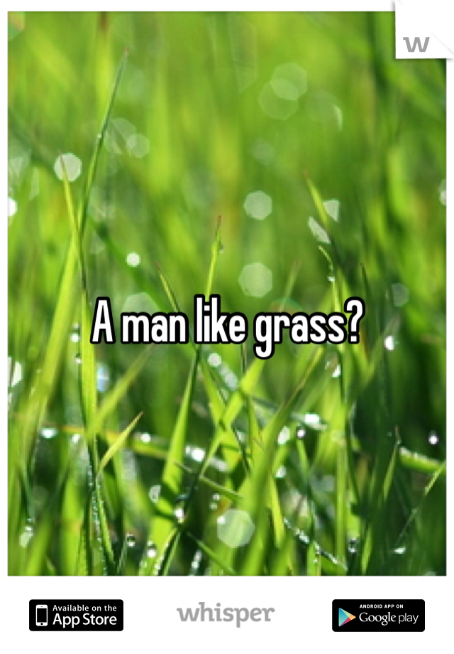 A man like grass? 