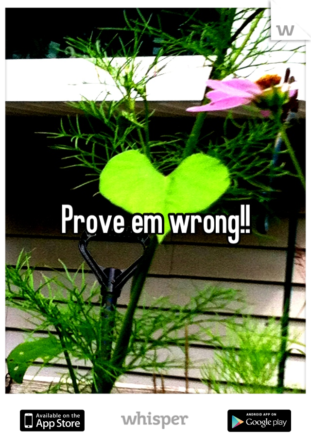 Prove em wrong!!