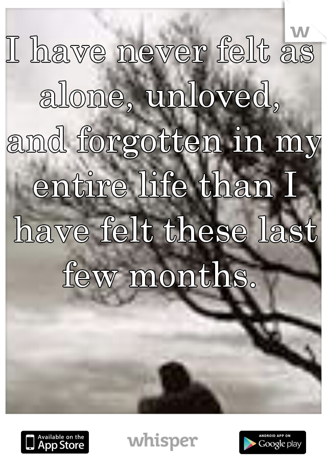 I have never felt as alone, unloved,  and forgotten in my entire life than I have felt these last few months. 