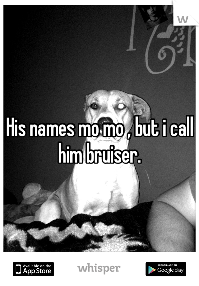 His names mo mo , but i call him bruiser. 