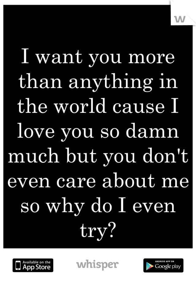 I want you more than anything in the world cause I love you so damn much but you don't even care about me so why do I even try? 