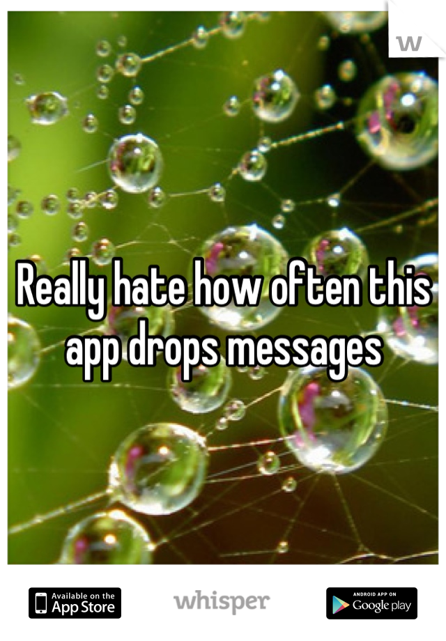 Really hate how often this app drops messages