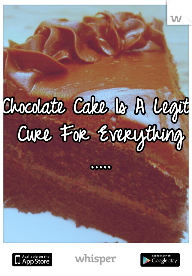 Chocolate Cake Is A Legit Cure For Everything .....