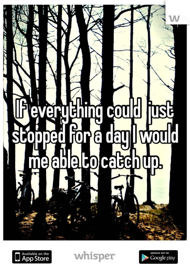 If everything could  just stopped for a day I would me able to catch up. 