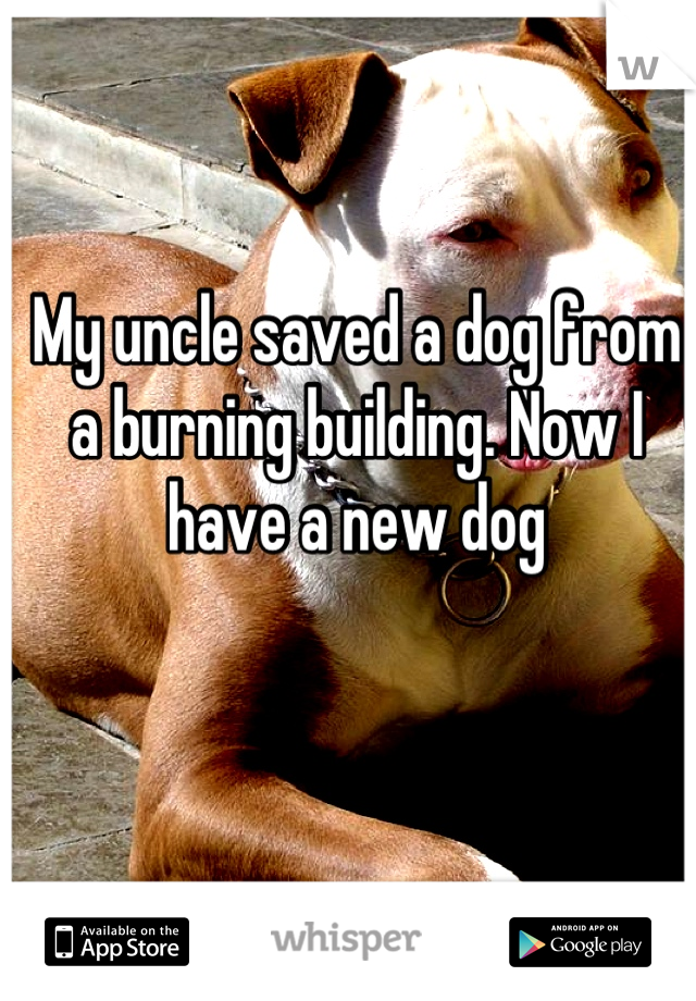 My uncle saved a dog from a burning building. Now I have a new dog