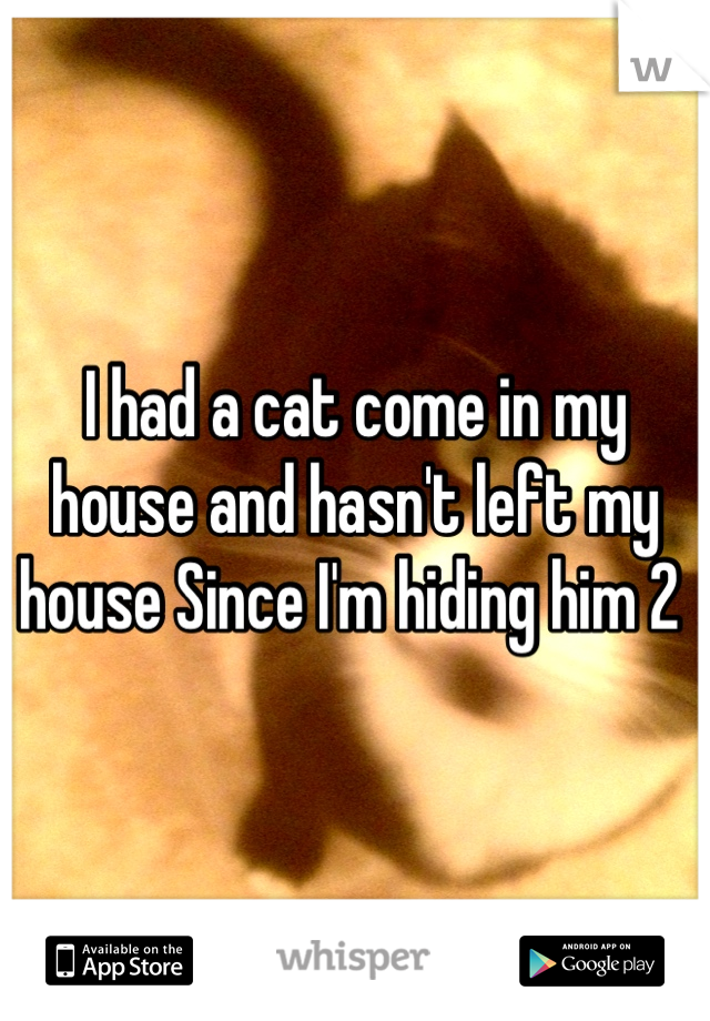 I had a cat come in my house and hasn't left my house Since I'm hiding him 2 