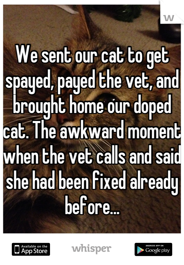 We sent our cat to get spayed, payed the vet, and brought home our doped cat. The awkward moment when the vet calls and said she had been fixed already before...