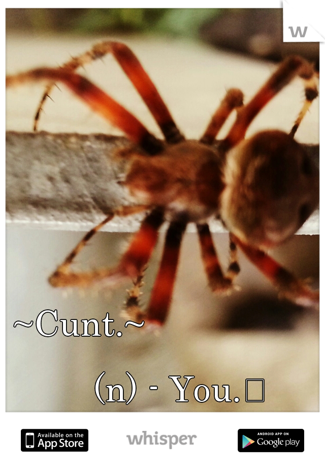 ~Cunt.~                                                     (n) - You.
