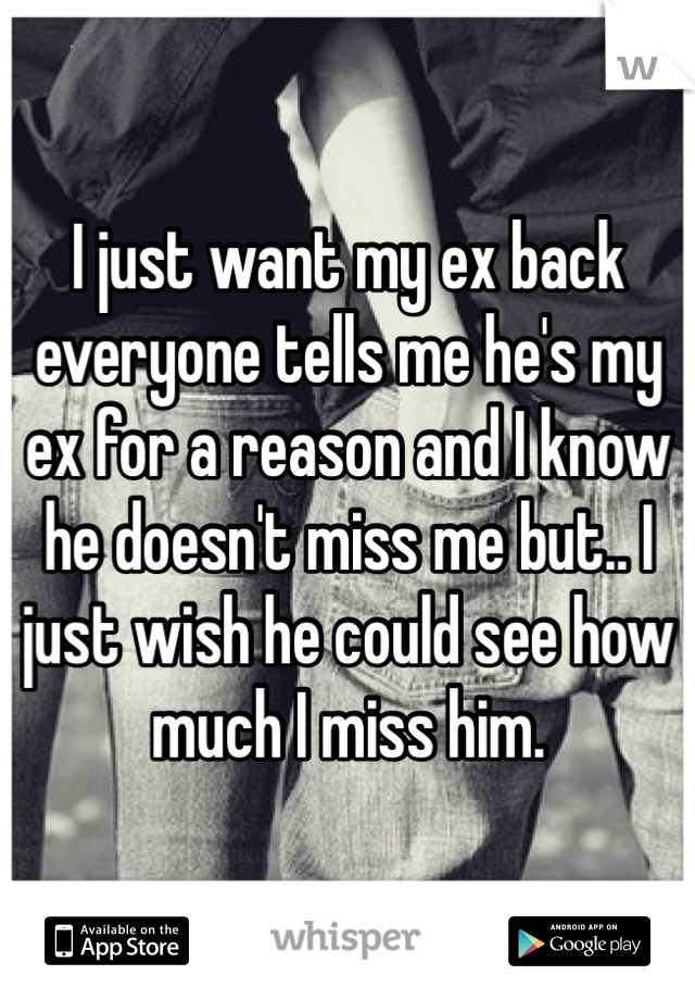 I just want my ex back everyone tells me he's my ex for a reason and I know he doesn't miss me but.. I just wish he could see how much I miss him.