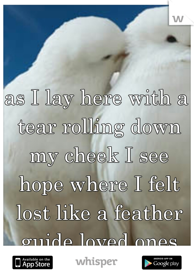 as I lay here with a tear rolling down my cheek I see hope where I felt lost like a feather guide loved ones safely home