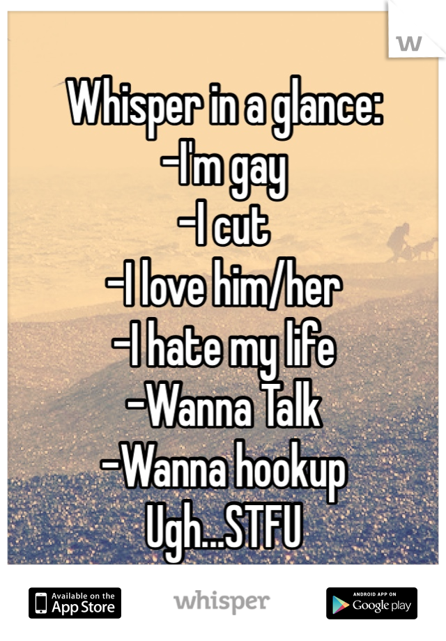 Whisper in a glance:
-I'm gay
-I cut
-I love him/her
-I hate my life
-Wanna Talk
-Wanna hookup 
Ugh...STFU