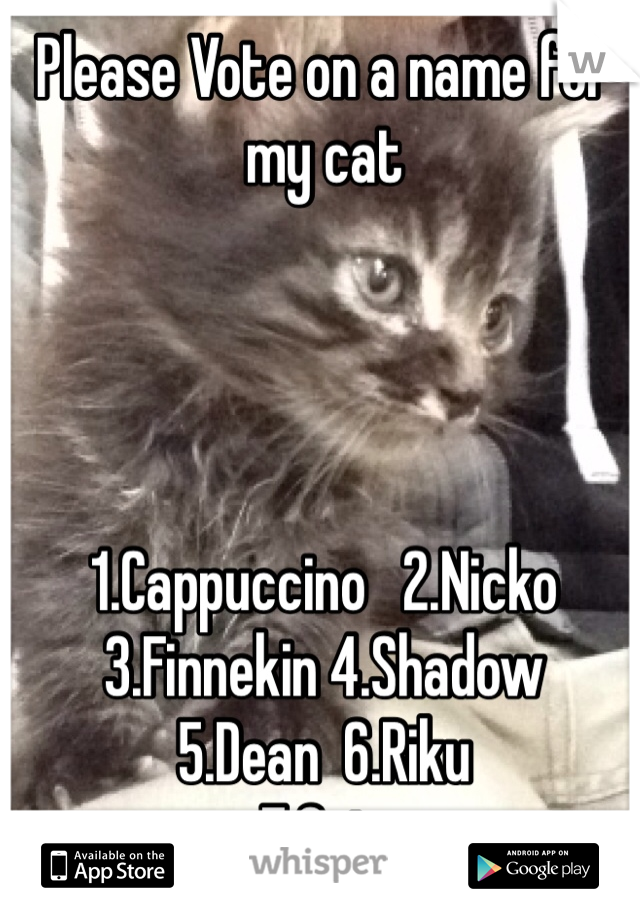 Please Vote on a name for my cat 




1.Cappuccino   2.Nicko
3.Finnekin 4.Shadow
5.Dean  6.Riku
7.Onix           