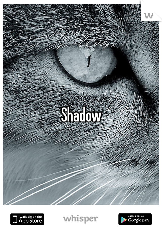 Shadow
