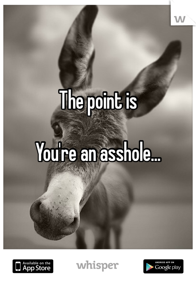 The point is

You're an asshole...

