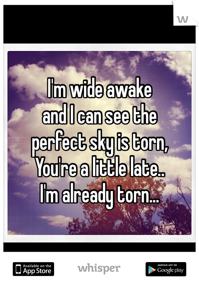 I'm wide awake 
and I can see the 
perfect sky is torn,
You're a little late..
I'm already torn...