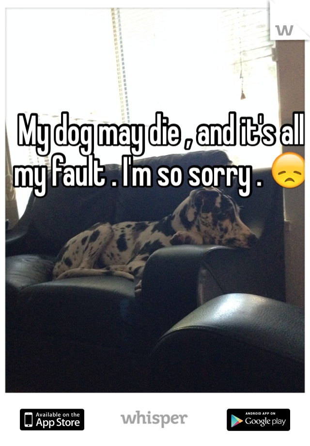 My dog may die , and it's all my fault . I'm so sorry . 😞