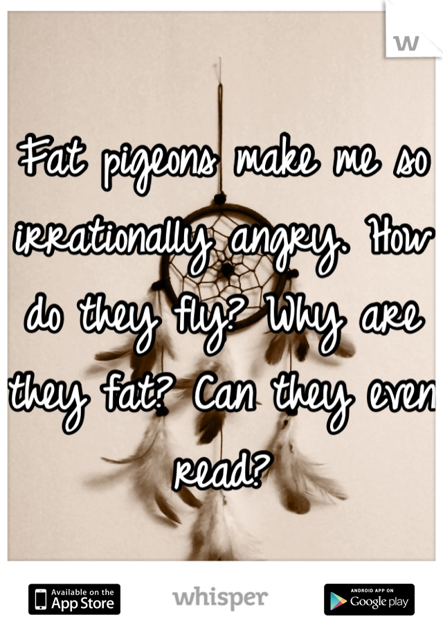Fat pigeons make me so irrationally angry. How do they fly? Why are they fat? Can they even read?