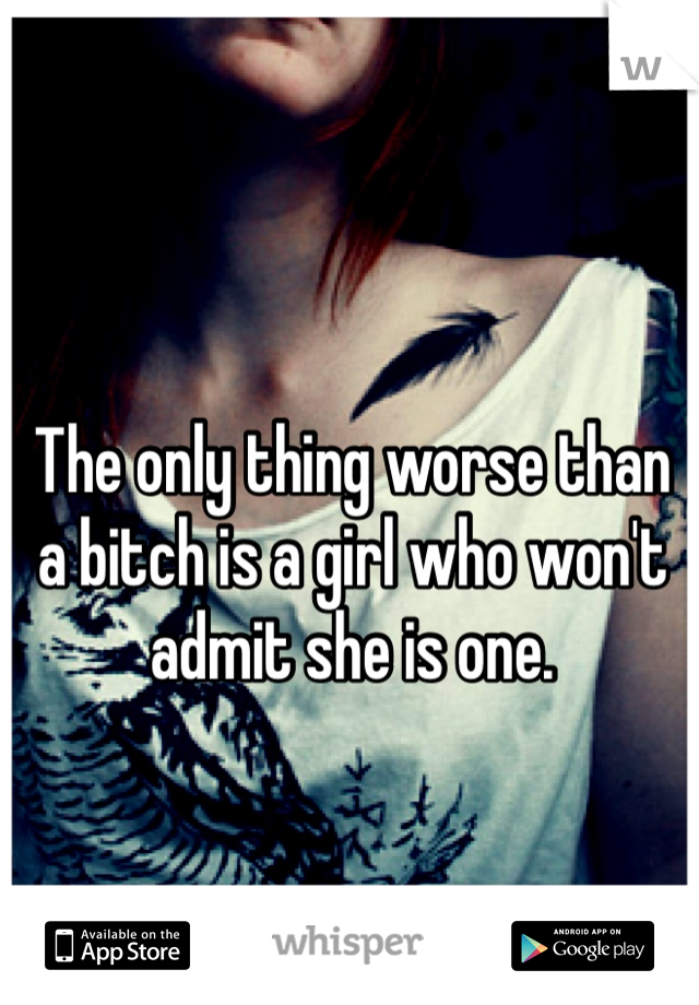 The only thing worse than a bitch is a girl who won't admit she is one.