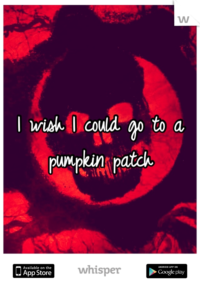 I wish I could go to a pumpkin patch 