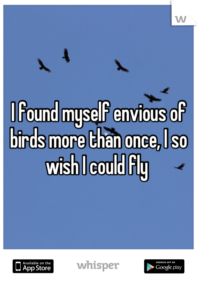 I found myself envious of birds more than once, I so wish I could fly 