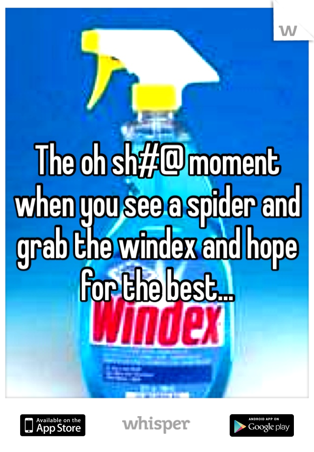 The oh sh#@ moment when you see a spider and grab the windex and hope for the best...