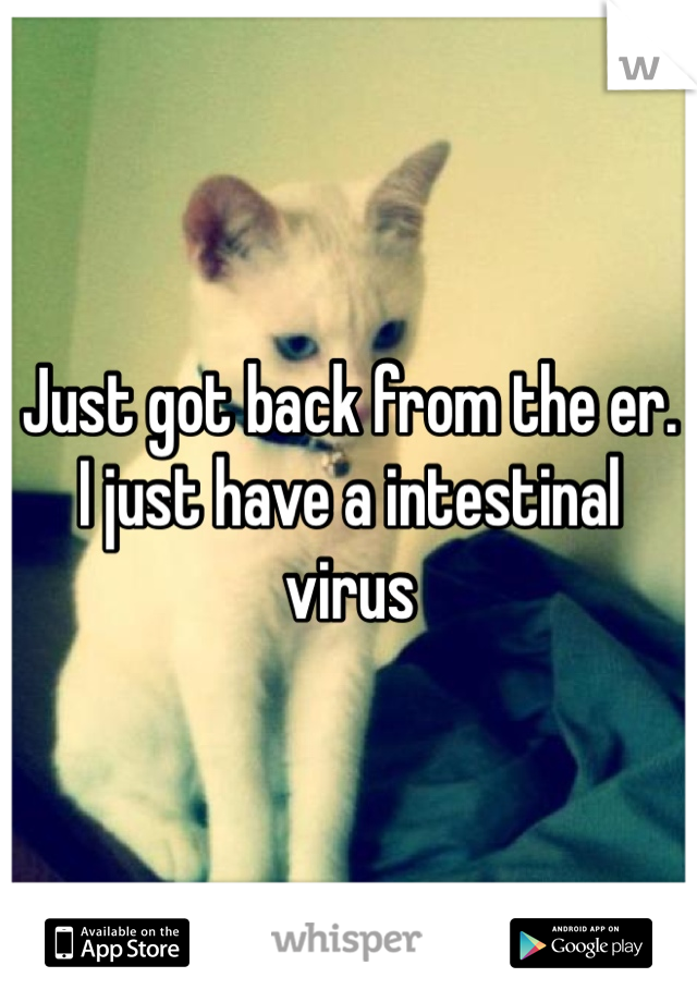 Just got back from the er. I just have a intestinal virus 