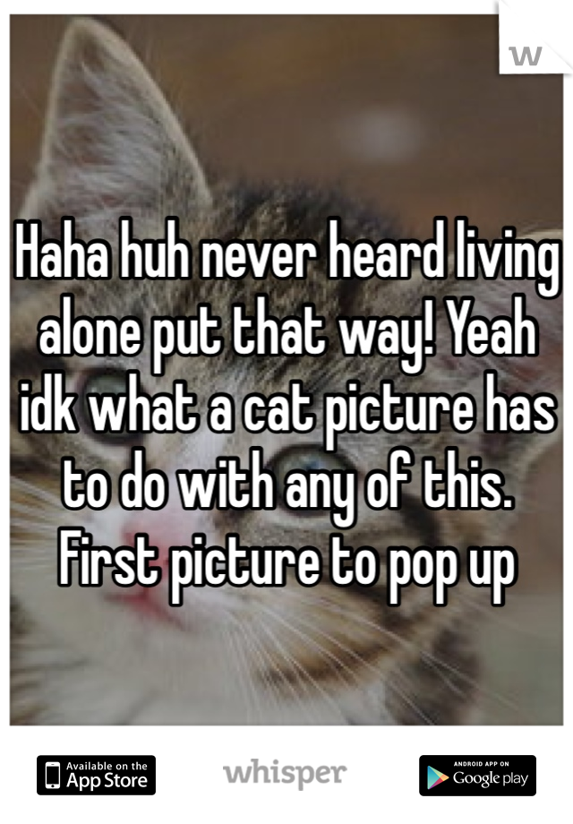 Haha huh never heard living alone put that way! Yeah idk what a cat picture has to do with any of this. First picture to pop up