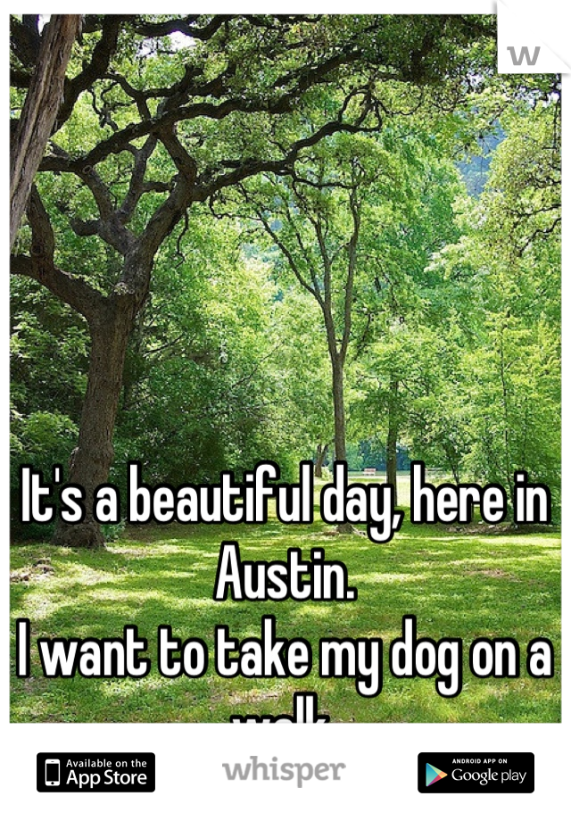 It's a beautiful day, here in Austin.
I want to take my dog on a walk.