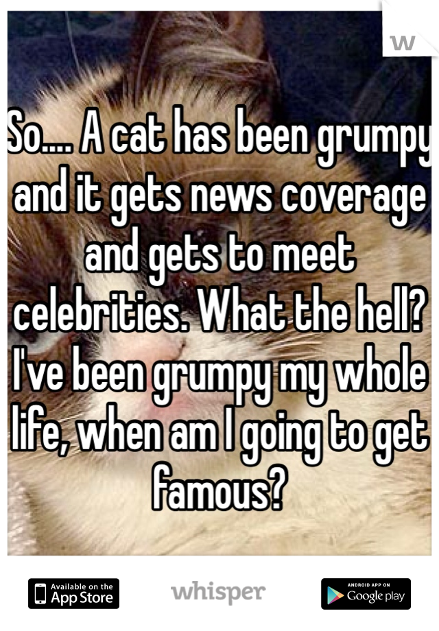 So.... A cat has been grumpy and it gets news coverage and gets to meet celebrities. What the hell? I've been grumpy my whole life, when am I going to get famous?