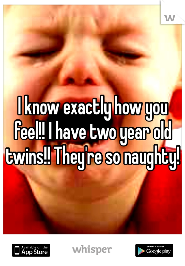 I know exactly how you feel!! I have two year old twins!! They're so naughty!