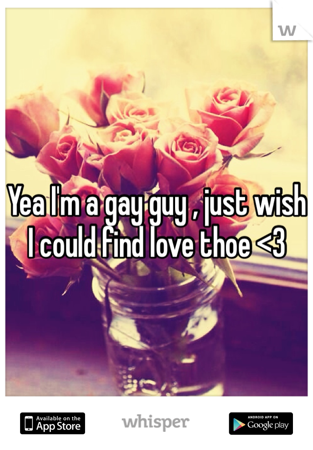 Yea I'm a gay guy , just wish I could find love thoe <3