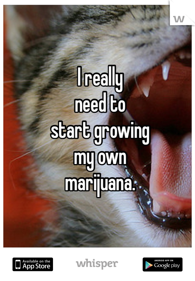 I really 
need to 
start growing 
my own 
marijuana. 