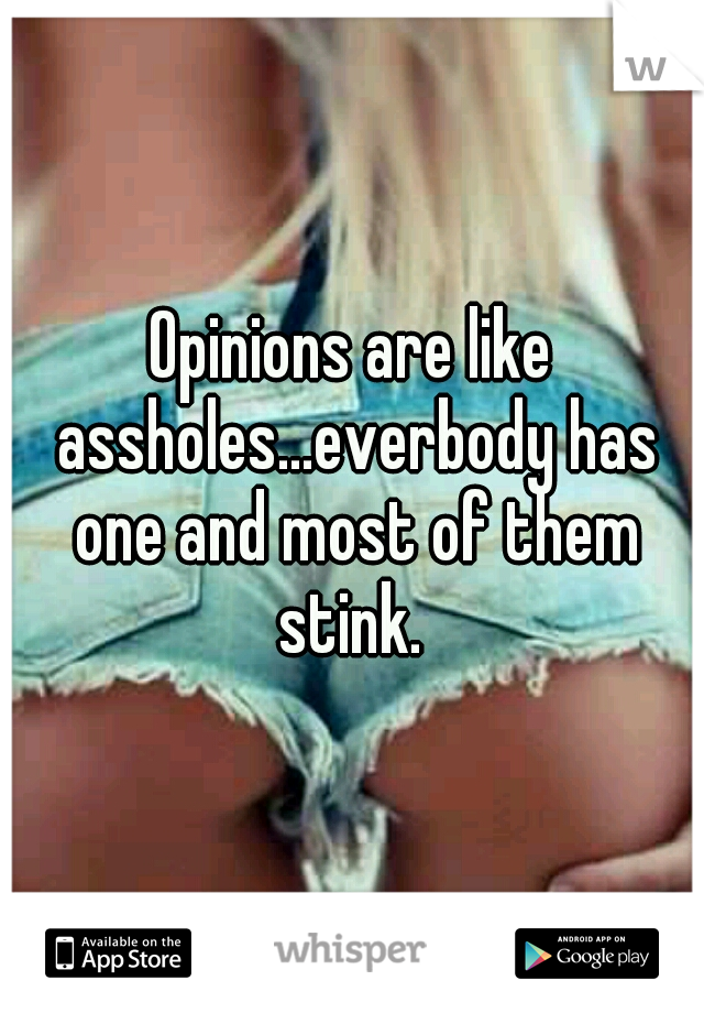 Opinions are like assholes...everbody has one and most of them stink. 