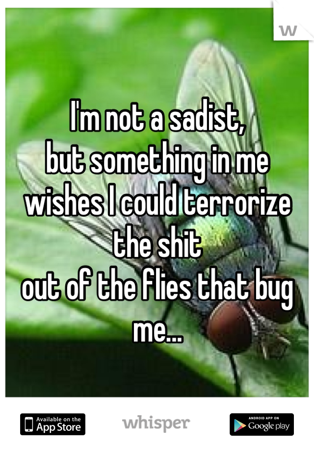 I'm not a sadist, 
but something in me
wishes I could terrorize the shit
out of the flies that bug me...