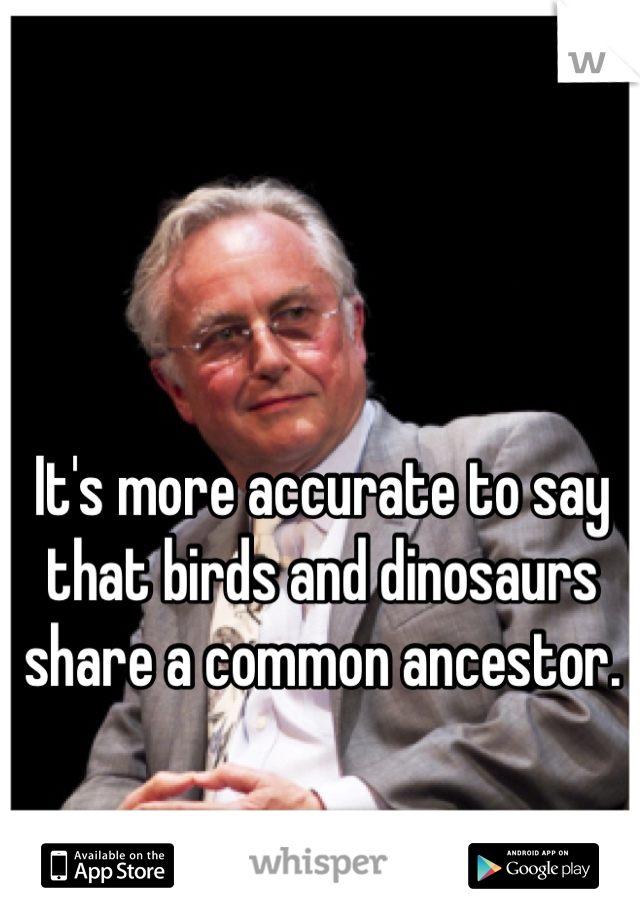 It's more accurate to say that birds and dinosaurs share a common ancestor. 