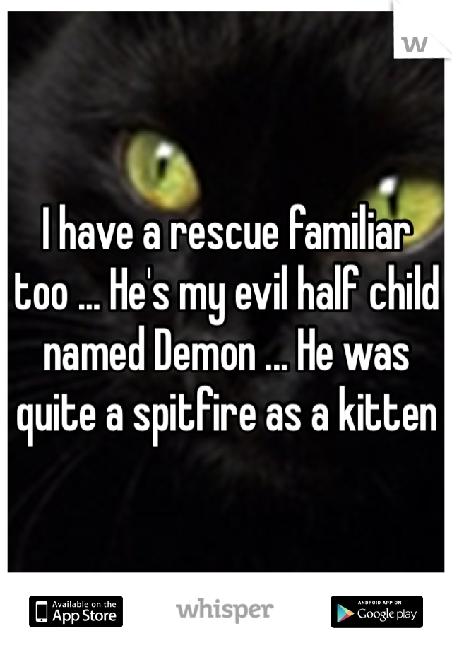 I have a rescue familiar too ... He's my evil half child named Demon ... He was quite a spitfire as a kitten