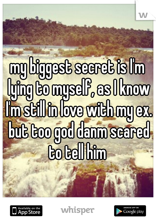 my biggest secret is I'm lying to myself, as I know I'm still in love with my ex. but too god danm scared to tell him 