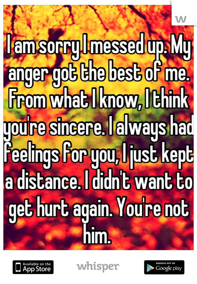 I am sorry I messed up. My anger got the best of me. From what I know, I think you're sincere. I always had feelings for you, I just kept a distance. I didn't want to get hurt again. You're not him. 