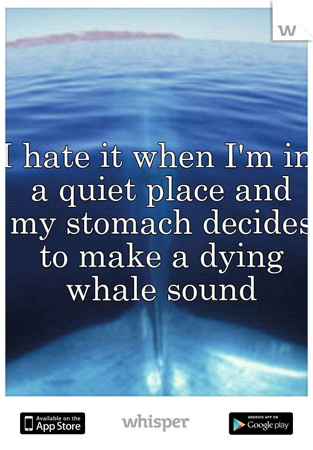 I hate it when I'm in a quiet place and my stomach decides to make a dying whale sound