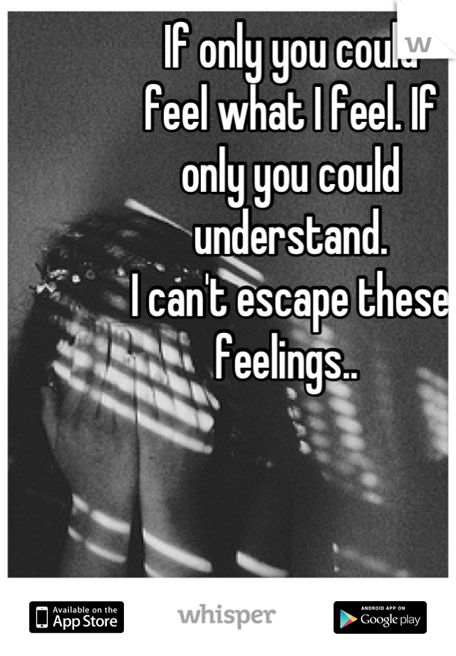 If only you could 
feel what I feel. If 
only you could 
understand. 
I can't escape these feelings.. 