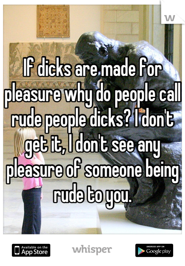 If dicks are made for pleasure why do people call rude people dicks? I don't get it, I don't see any pleasure of someone being  rude to you.