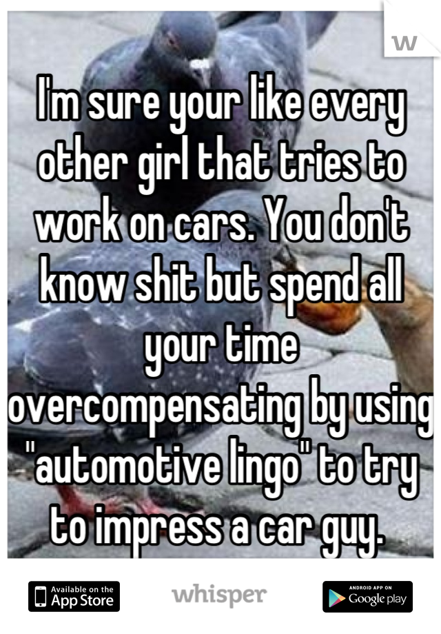 I'm sure your like every other girl that tries to work on cars. You don't know shit but spend all your time overcompensating by using "automotive lingo" to try to impress a car guy. 