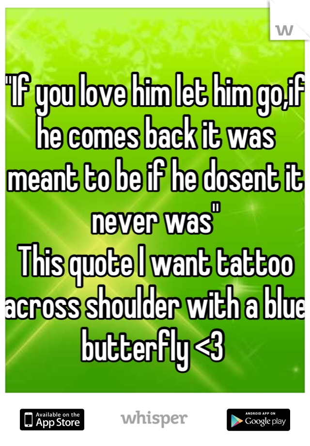 "If you love him let him go,if he comes back it was meant to be if he dosent it never was"
This quote I want tattoo across shoulder with a blue butterfly <3 
