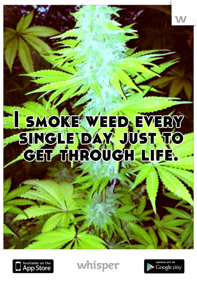 I smoke weed every single day just to get through life.