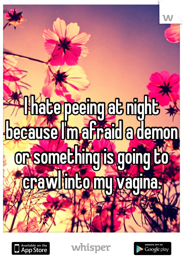 I hate peeing at night because I'm afraid a demon or something is going to crawl into my vagina.