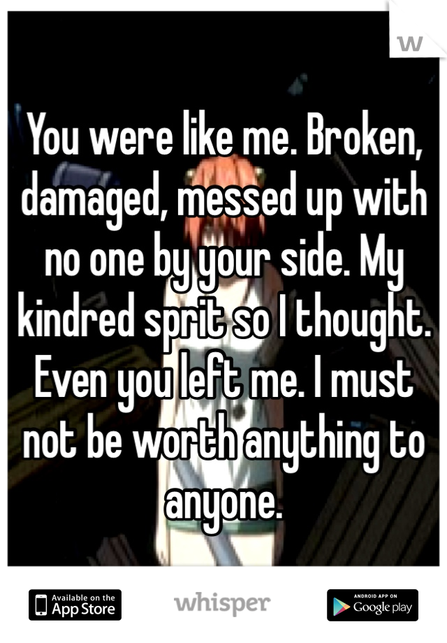 You were like me. Broken, damaged, messed up with no one by your side. My kindred sprit so I thought. Even you left me. I must not be worth anything to anyone.  